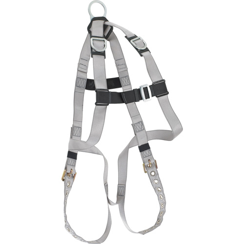 Dynamic B-Compliant Economy Harness, CSA Certified, Class AE, 310 lbs. Cap. Seagulf Marine Industries Inc.
