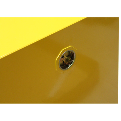Flammable Storage Cabinet, 4 gal., 1 Door, 17" W x 22" H x 18" D Seagulf Marine Industries Inc.