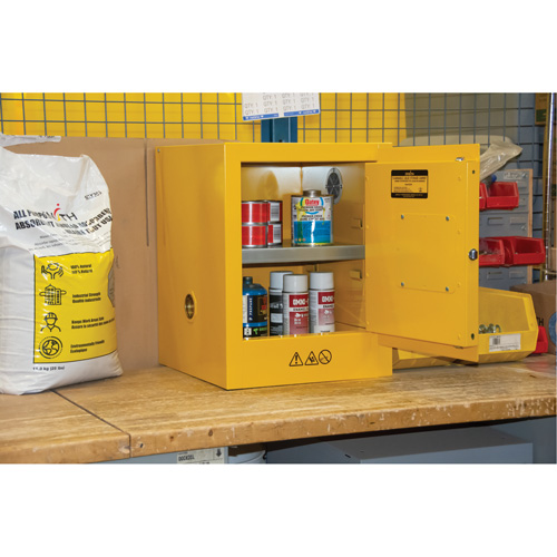 Flammable Storage Cabinet, 4 gal., 1 Door, 17" W x 22" H x 18" D Seagulf Marine Industries Inc.