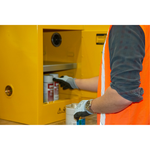Flammable Storage Cabinet, 4 gal., 1 Door, 17" W x 22" H x 18" D Seagulf Marine Industries Inc.