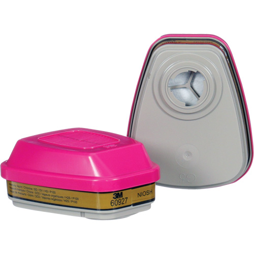 Cartouche, Combinaison cartouche et filtre contre les particules pour gaz/vapeurs, Gaz multiples/Vapeurs/P100 Seagulf Marine Industries Inc.