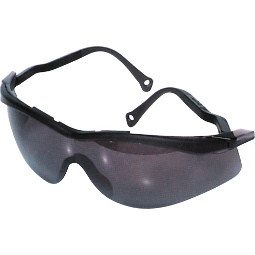 Lunettes de s&eacute;curit&eacute; North The Edge, Lentille Fum&eacute;e, Antibu&eacute;e/Anti-&eacute;gratignures, R&eacute;pond ou surpasse la norme CSA Z94.3 Seagulf Marine Industries Inc.