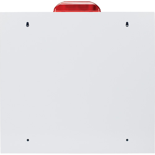 Grande armoire standard pour DEA avec alarme & stroboscope, Zoll AED Plus/Zoll AED 3/Cardio-Science/Physio-Control Pour, Non m&eacute;dical Seagulf Marine Industries Inc.
