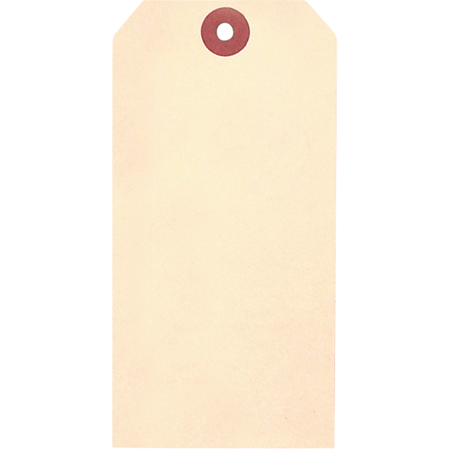 &eacute;tiquettes vierges en papier cartonn&eacute; de manille, Papier cartonn&eacute;, 1-5/8" la x 3-1/4" h Seagulf Marine Industries Inc.