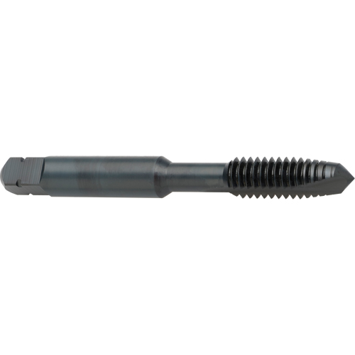 Taraud &agrave; entr&eacute;e h&eacute;licoidale, Acier rapide au cobalt, Filet de 8-32, 2-1/8" l Seagulf Marine Industries Inc.