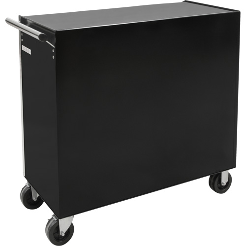 Chariot &agrave; outils industriel, 11 tiroirs, 41" la x 18-3/4" p x 39-1/3" h, Noir Seagulf Marine Industries Inc.