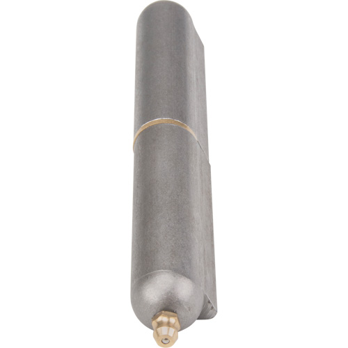 Charni&egrave;re &agrave; souder, 0,787" dia. x 5,906" lo, Acier doux a/goupille fixe en acier Seagulf Marine Industries Inc.