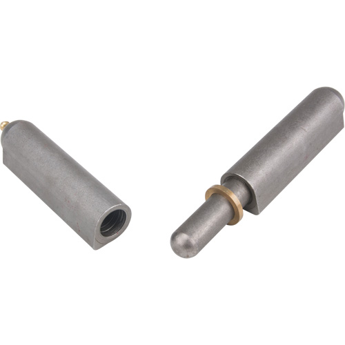 Weld-On Hinge, 0.906" Dia. x 7.874" L, Mild Steel w/Fixed Steel Pin Seagulf Marine Industries Inc.