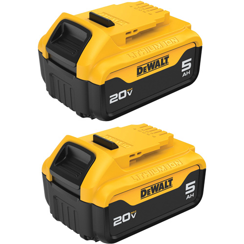 Bloc-piles Max XR Premium, Lithium-ion, 20 V, 5 A Seagulf Marine Industries Inc.