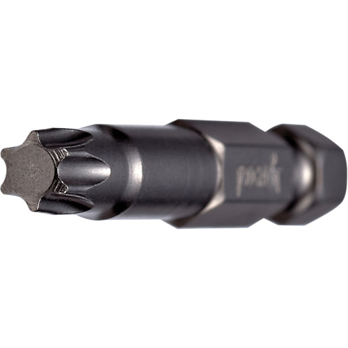 Embout pour outil &eacute;lectrique, Torx, Embout T-6, Prise 1/4", Longueur 2" Seagulf Marine Industries Inc.