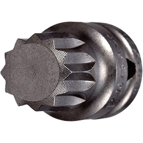 Socket Bit, Triple Square, 5 x 3/4" L, 1/4" Drive Seagulf Marine Industries Inc.
