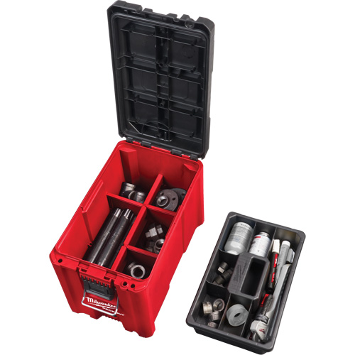 Coffre &agrave; outils compact Packout, 10" x 16-1/5" x 13", Noir/Rouge Seagulf Marine Industries Inc.