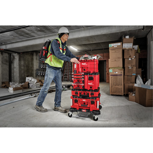 Coffre &agrave; outils compact Packout, 10" x 16-1/5" x 13", Noir/Rouge Seagulf Marine Industries Inc.