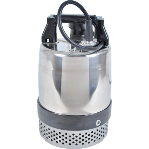 Pompe utilitaire s&eacute;rie FLS/FS, 1 CV, 80 gal./min, 115 V, 10 A Seagulf Marine Industries Inc.