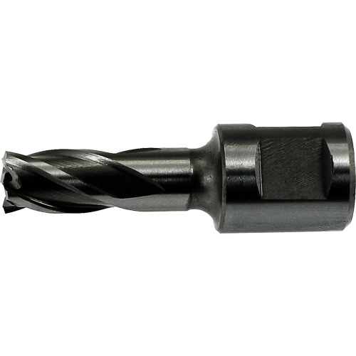 DRILLCO Annular Cutter Pilot Seagulf Marine Industries Inc.