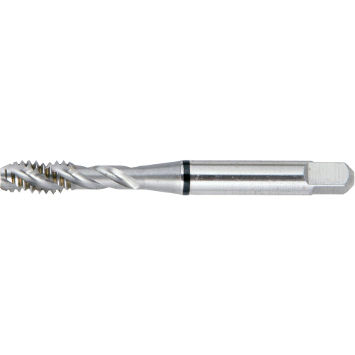 DRILLCO Spiral Flute Super High Performance BT Tap, High Speed Steel, 10-32 Thread, 2-3/8" L Seagulf Marine Industries Inc.