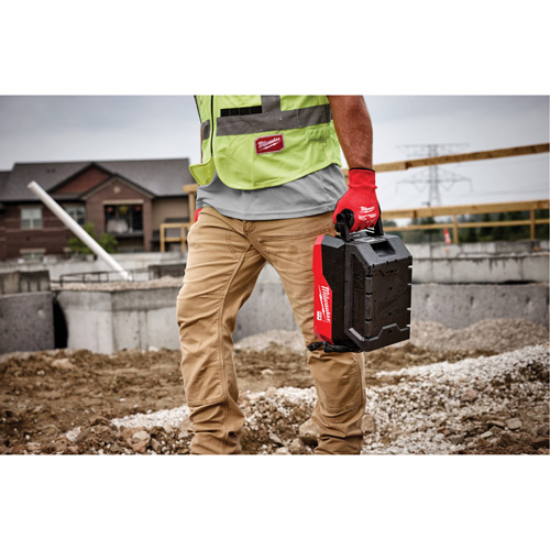 MX FUEL Rapid Charger, 120 V, Lithium-Ion/NiCd/Ni-MH Seagulf Marine Industries Inc.