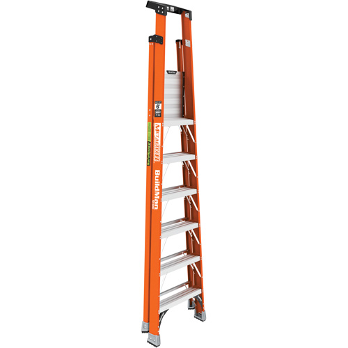 Safespace Platform Step Ladder, 6', 300 lbs. Cap. Seagulf Marine Industries Inc.