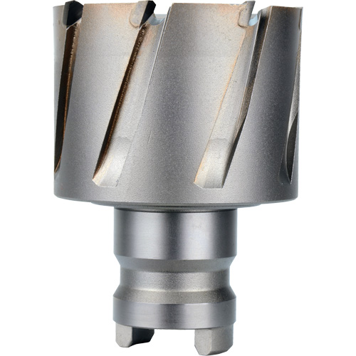 Quick Change Tang Drive Hawg&reg; Cutter, 2" Diameter, Steel, 1" Depth of Cut Seagulf Marine Industries Inc.