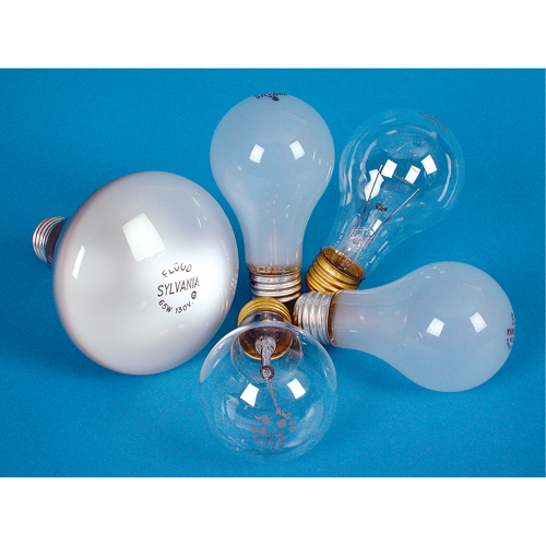LAMPE INCANDESCENTE,25W,130V,GIVREE,2/PQT Seagulf Marine Industries Inc.