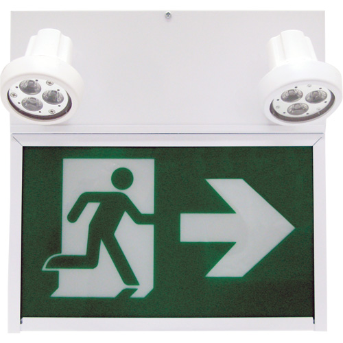 Running Man Exit Sign, LED, Battery Operated/Hardwired, 12" L x 12 1/2" W, Pictogram Seagulf Marine Industries Inc.