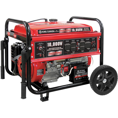G&eacute;n&eacute;ratrice &agrave; essence &agrave; d&eacute;marreur &eacute;lectrique, 10000 W de surtension, 7500 W nominale, 120 V/240 V, R&eacute;servoir de 25 L Seagulf Marine Industries Inc.