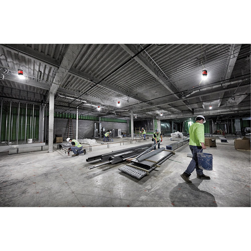 RADIUS Temporary Site Light, LED, 130 W, 15000 Lumens Seagulf Marine Industries Inc.