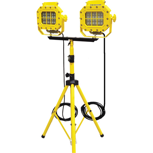 Diffuseur anti-d&eacute;flagration avec tr&eacute;pied, DEL, 40 W, 5600 lumens, Boîtier en Aluminium Seagulf Marine Industries Inc.