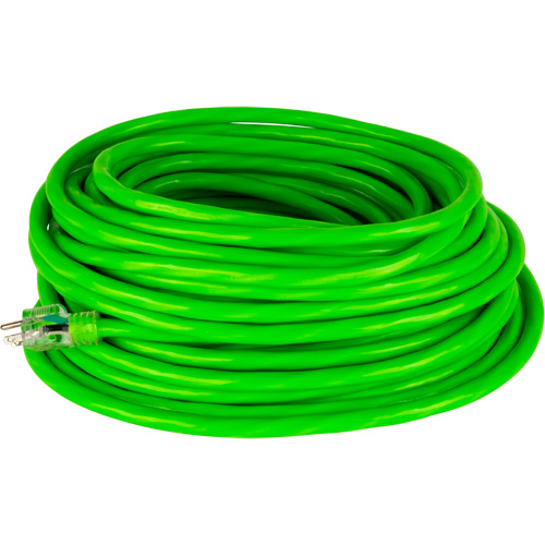 Industrial Extension Cord, All-Weather, SJTW, 10/3 AWG, 15 A, 100' Seagulf Marine Industries Inc.