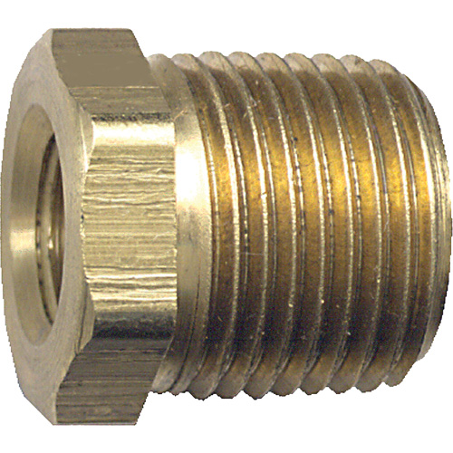 R&eacute;duction m&acirc;le-femelle pour tuyau, 1/8" x 1/2", NPT x FPT, Laiton Seagulf Marine Industries Inc.