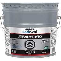 LeakSeal&reg; Ultimate Wet Roof Patch Seagulf Marine Industries Inc.