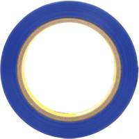 Polyester Tape 8901, 25.4 mm (1") x 66 m (216'), Blue Seagulf Marine Industries Inc.