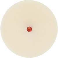 Scotch-Brite Moulding Adhesive & Stripe Removal Disc, 7501, 4" Dia. Seagulf Marine Industries Inc.