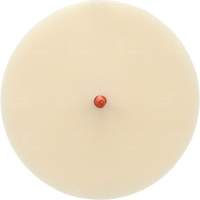Scotch-Brite Moulding Adhesive and Stripe Removal Disc 7502, 6" Dia. Seagulf Marine Industries Inc.