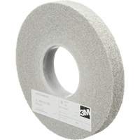Meules d'&eacute;barbage EXL Scotch-Brite, 8" x 1", Arbre de 3", Oxyde d'aluminium Seagulf Marine Industries Inc.