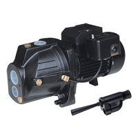 Dual Voltage Cast Iron Convertible Jet Pump, 230 V, 920 GPH, 1 HP Seagulf Marine Industries Inc.