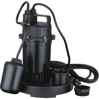 Thermoplastic Submersible Sump Pump, 2560 GPH, 115 V, 4.6 A, 1/3 HP Seagulf Marine Industries Inc.