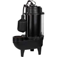 Cast Iron Effluent Pump, 4800 GPH, 120 V, 7.8 A, 1/2 HP Seagulf Marine Industries Inc.