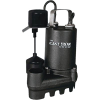 Cast Iron Submersible Sump Pump with Vertical Float Switch, 67 GPM, 33 V, 5 A, 1/3 HP Seagulf Marine Industries Inc.