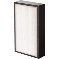 AeraMax&reg; Pro AM2 1-3/4" True HEPA Filter, Box, 7.38" W x 1.88" D x 12.88" H Seagulf Marine Industries Inc.