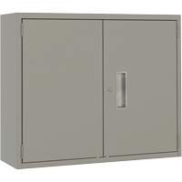 Wall Mounted Cabinet, Steel, 2 Shelves, 30" H x 36" W x 12" D, Grey Seagulf Marine Industries Inc.