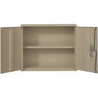 Wall Mounted Cabinet, Steel, 2 Shelves, 30" H x 36" W x 12" D, Beige Seagulf Marine Industries Inc.