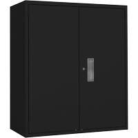Lo-Boy Storage Cabinet, Steel, 2 Shelves, 42" H x 36" W x 18" D, Black Seagulf Marine Industries Inc.