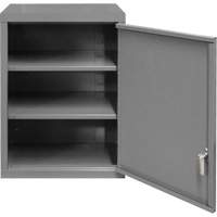 Wall-Mounted Cabinet, 27" H x 13-11/16" W x 18" D, 2 Shelves, Steel, Grey Seagulf Marine Industries Inc.