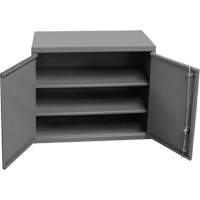 Wall-Mounted Cabinet, 27" H x 13-11/16" W x 35-7/8" D, 2 Shelves, Steel, Grey Seagulf Marine Industries Inc.