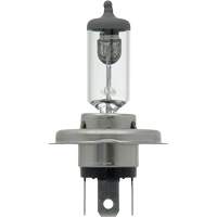 9003 Ampoule de base pour feu avant, Halog&egrave;ne, 61 W/67 W, Blanc cass&eacute; Seagulf Marine Industries Inc.