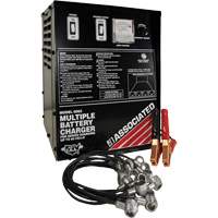 Multi-Battery Series Charger Seagulf Marine Industries Inc.