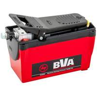 Pompe &agrave; air &agrave; une vitesse avec r&eacute;servoir de 122,1 po³ Seagulf Marine Industries Inc.