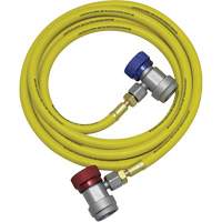 R134a A/C System Flush Hose Assembly Seagulf Marine Industries Inc.