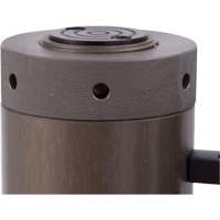 Cric de s&eacute;curit&eacute; &agrave; collier verrouillable, Course de 6", Capacit&eacute; de 50 tonne(s), 10 000 PSI Seagulf Marine Industries Inc.